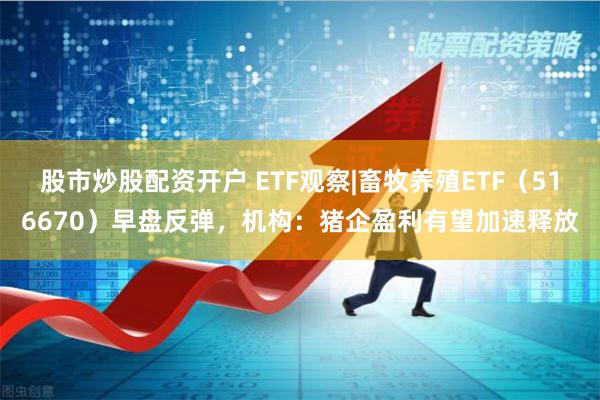 股市炒股配资开户 ETF观察|畜牧养殖ETF（516670）早盘反弹，机构：猪企盈利有望加速释放